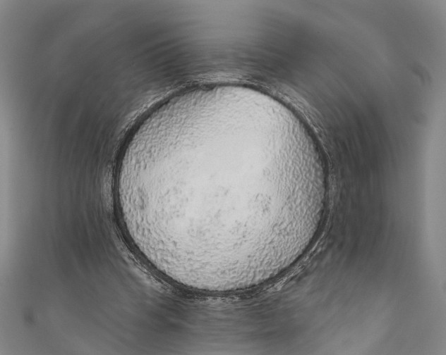 X0000110980345200907101415