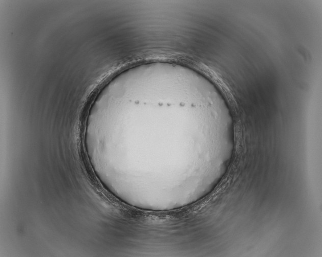 X0000110980346200907101415