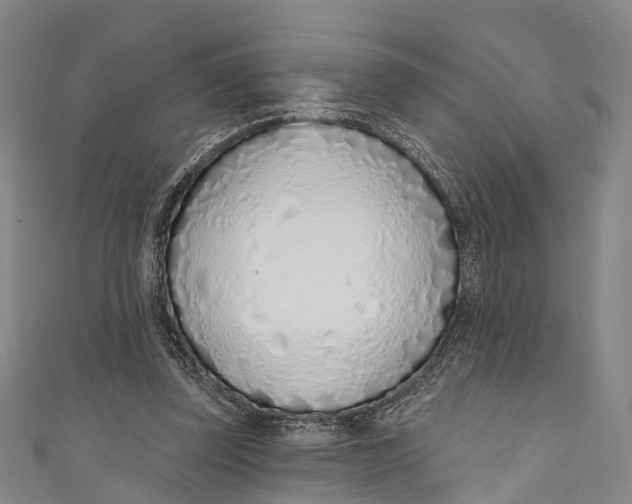 X0000110980347200907101415