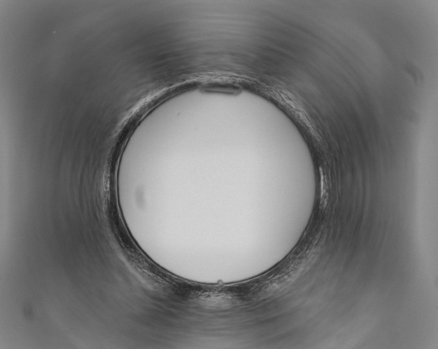 X0000110980348200907101415