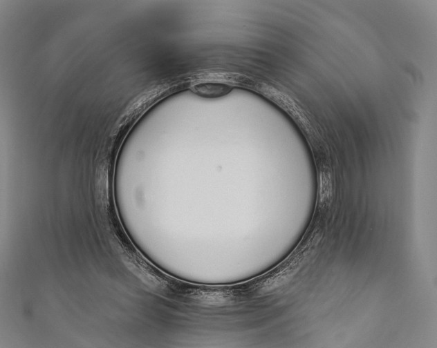 X0000110980349200907101415