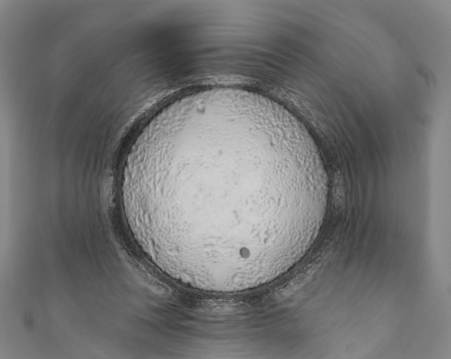 X0000110980351200907101415