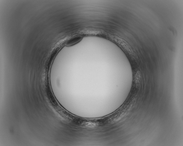 X0000110980352200907101415