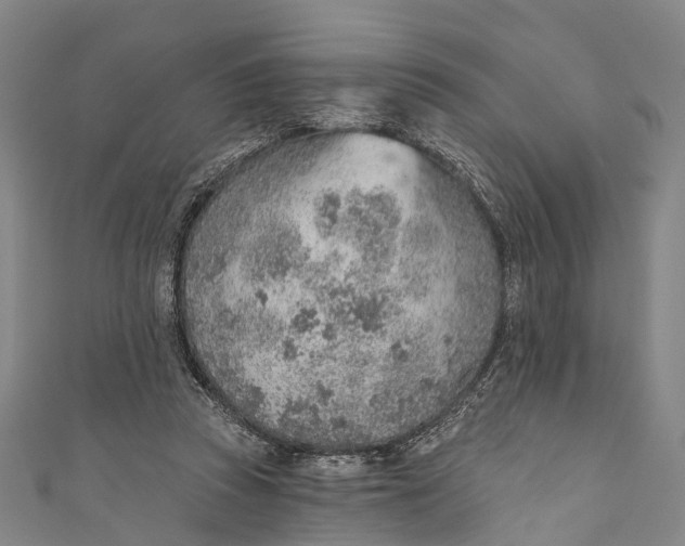 X0000110980353200907101415