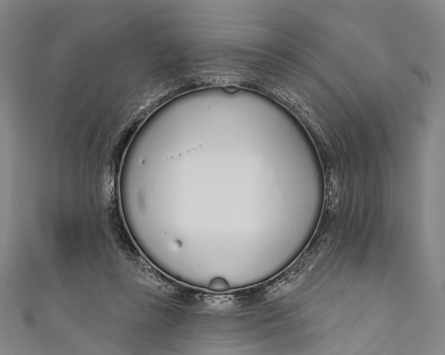 X0000110980355200907101415