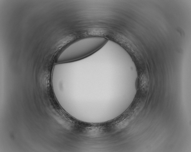 X0000110980356200907101415