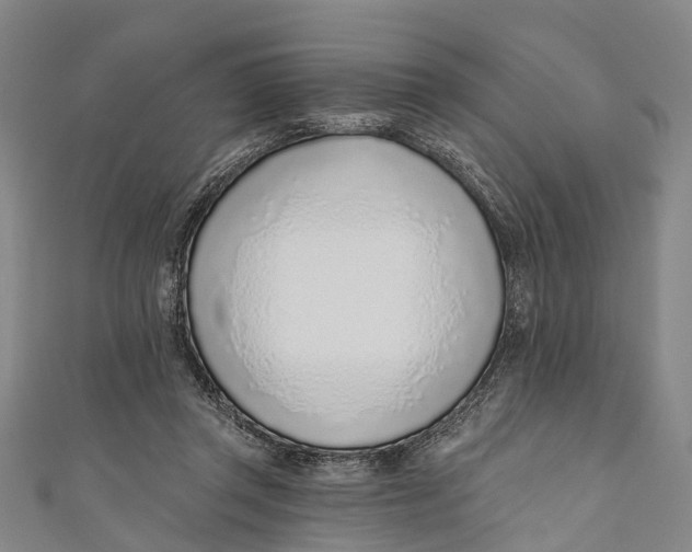 X0000110980357200907101415