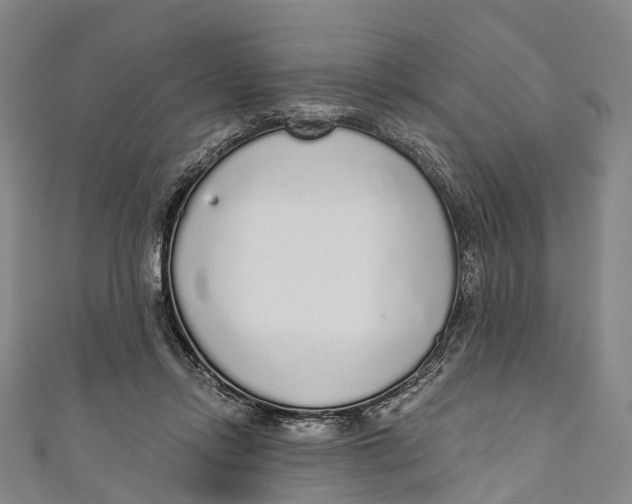 X0000110980358200907101415