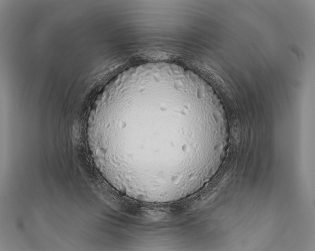 X0000110980359200907101415