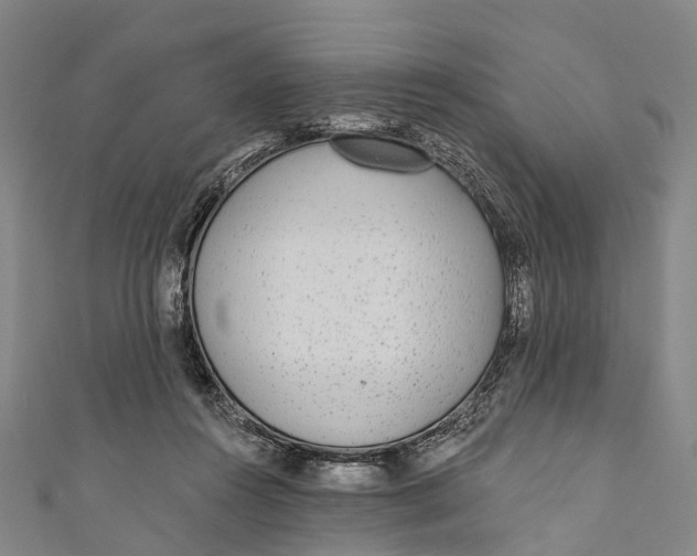 X0000110980360200907101415