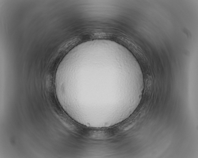 X0000110980361200907101415