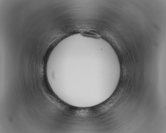 X0000110980362200907101415