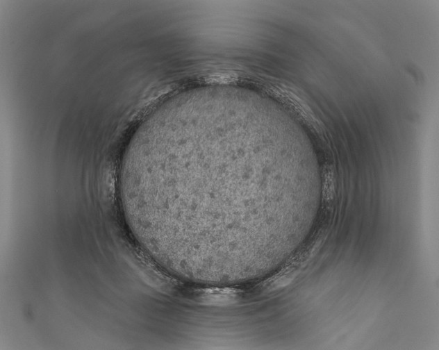 X0000110980363200907101415