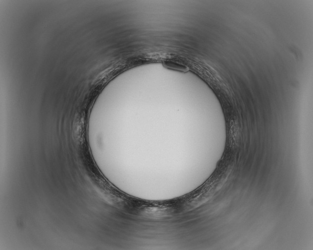 X0000110980364200907101415