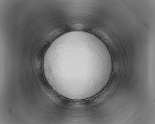 X0000110980365200907101415