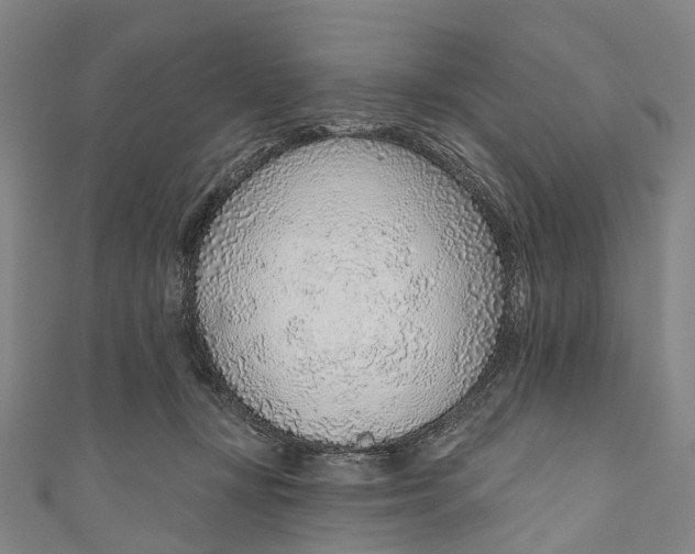 X0000110980367200907101415