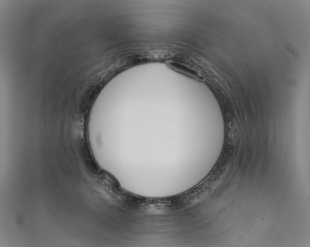 X0000110980368200907101415