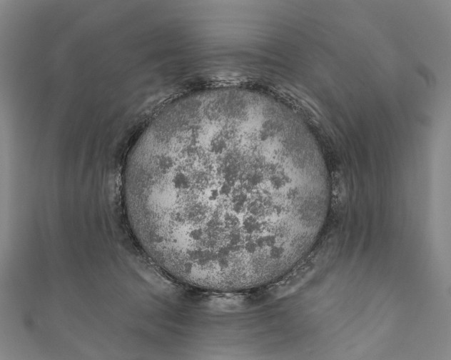 X0000110980369200907101415