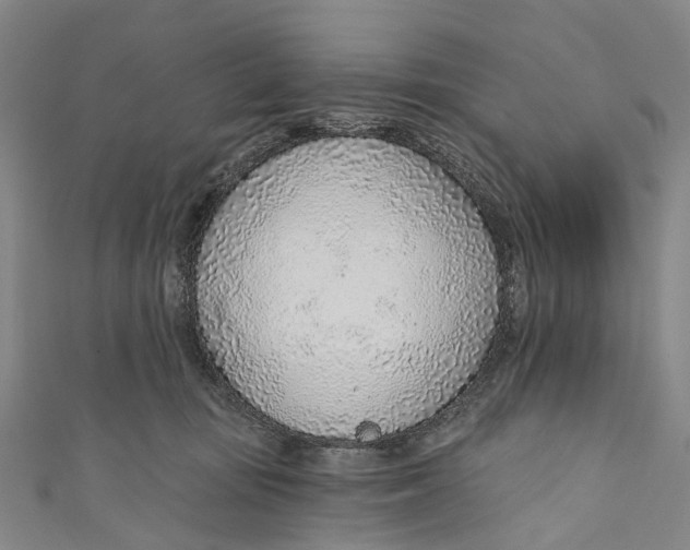 X0000110980371200907101415