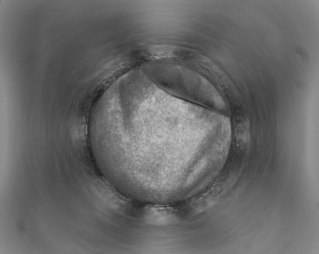 X0000110980372200907101415