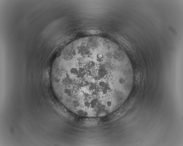 X0000110980373200907101415