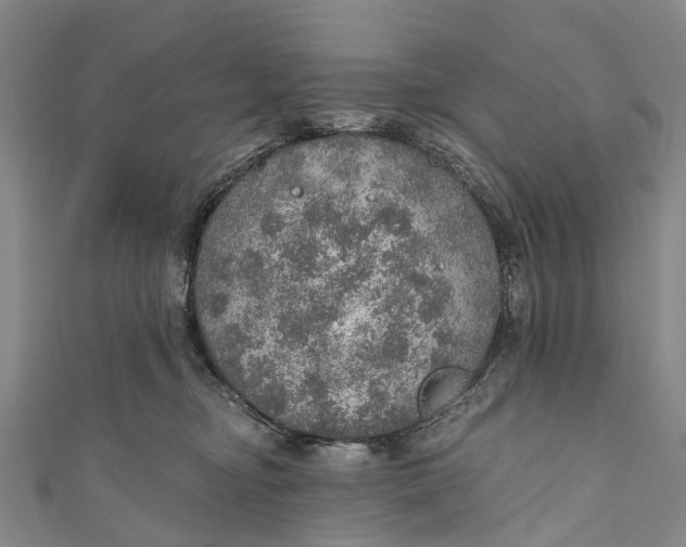 X0000110980374200907101415