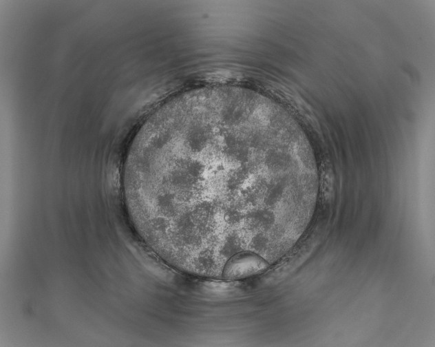 X0000110980375200907101415