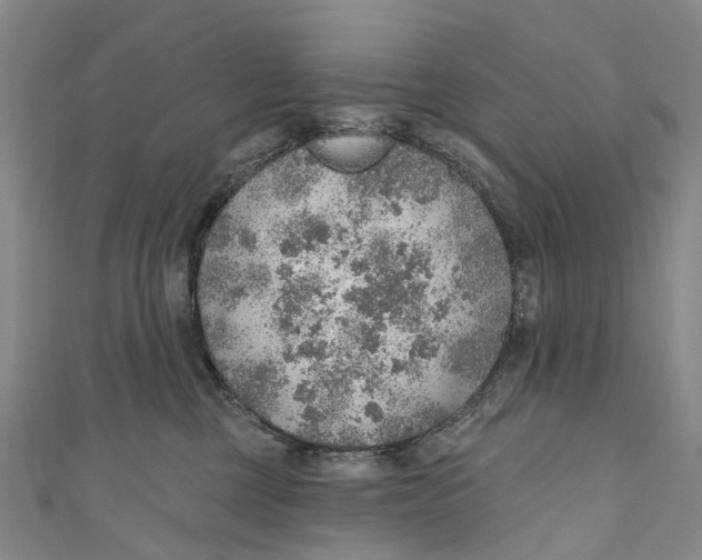 X0000110980377200907101415