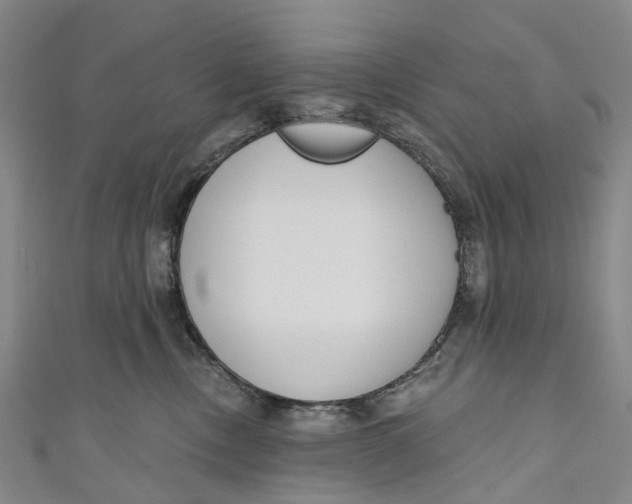 X0000110980378200907101415