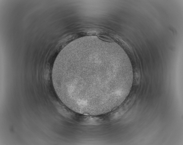 X0000110980379200907101415