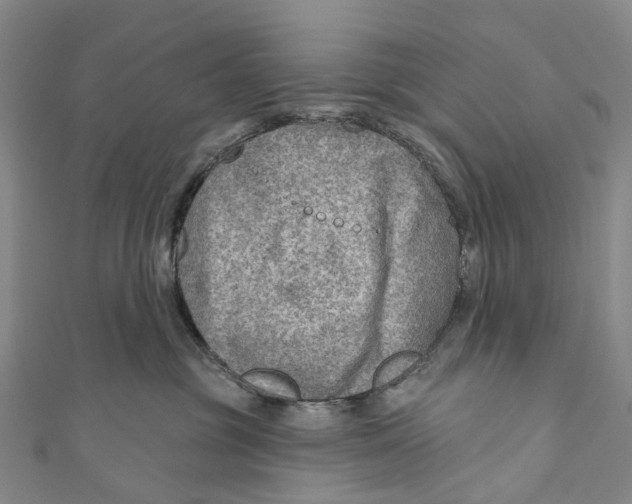 X0000110980381200907101415