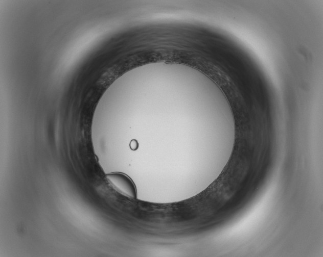 X0000110980382200907101415