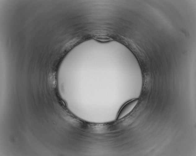 X0000110980383200907101415