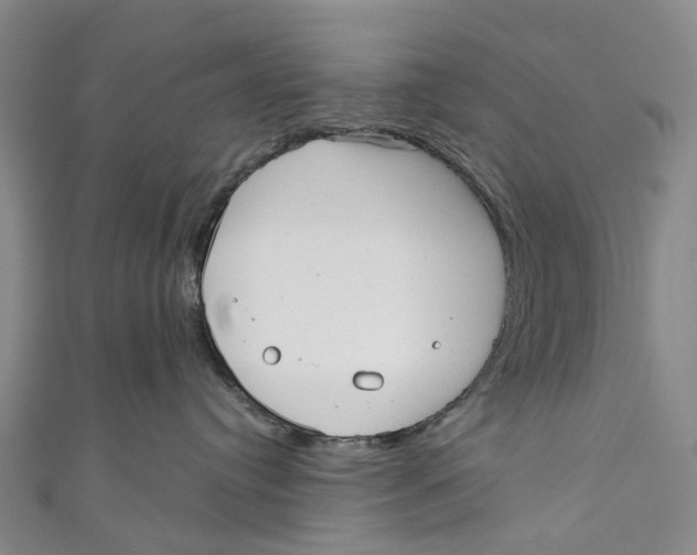 X0000110980384200907101415