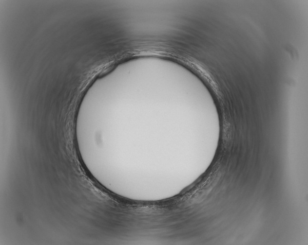 X0000110980385200907101414