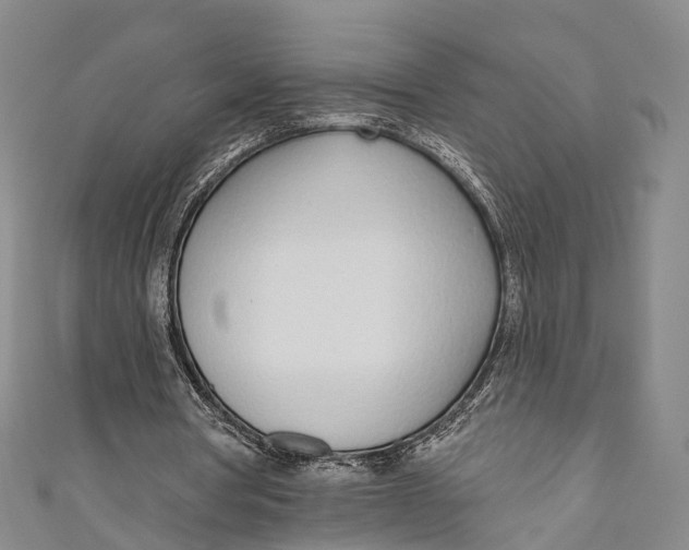 X0000110980386200907101414