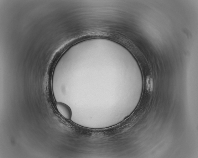 X0000110980388200907101414