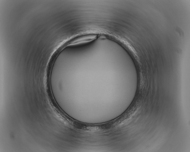 X0000110980391200907101414