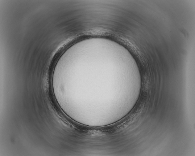 X0000110980392200907101414