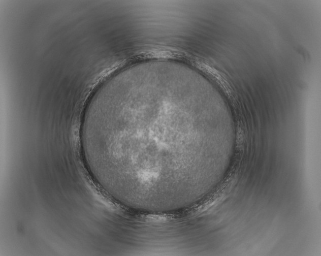 X0000110980394200907101414