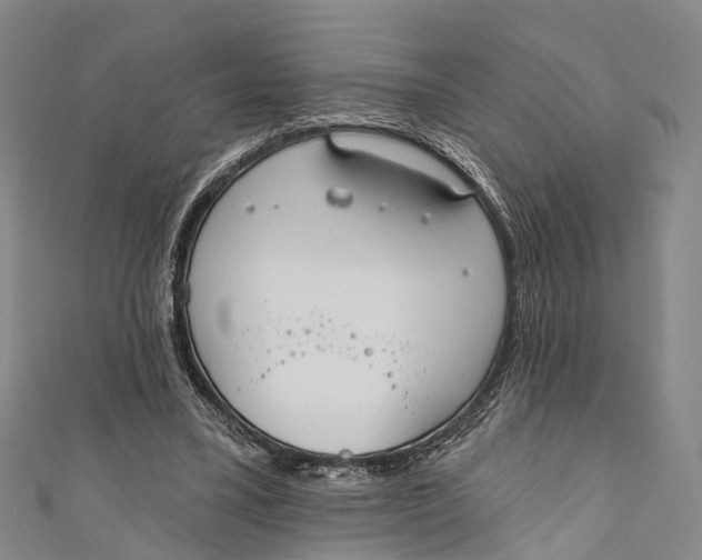 X0000110980395200907101414