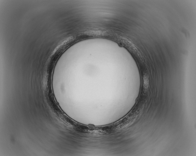 X0000110980396200907101414