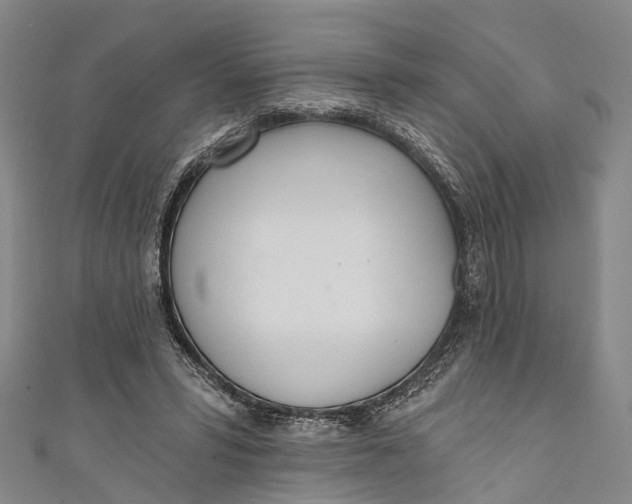 X0000110980399200907101414