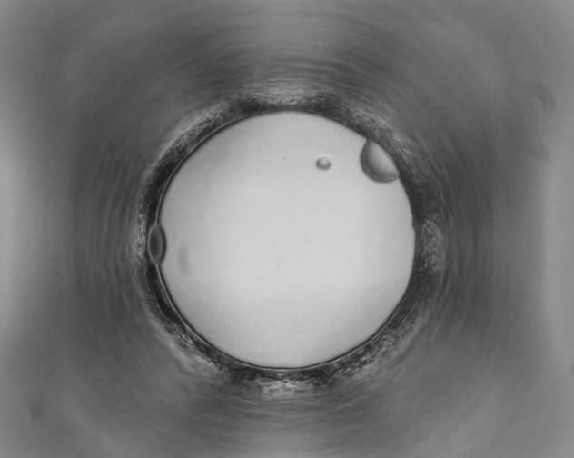 X0000110980400200907101414