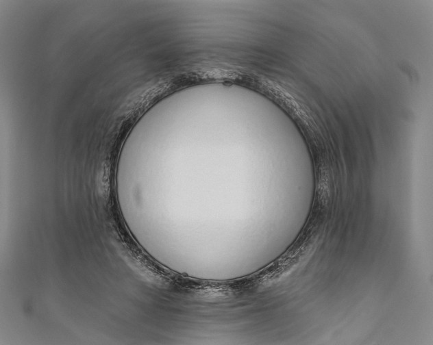 X0000110980402200907101414