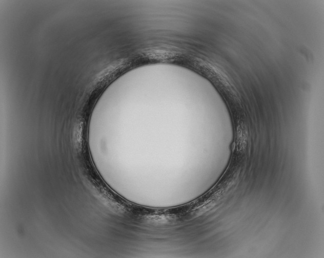 X0000110980404200907101414