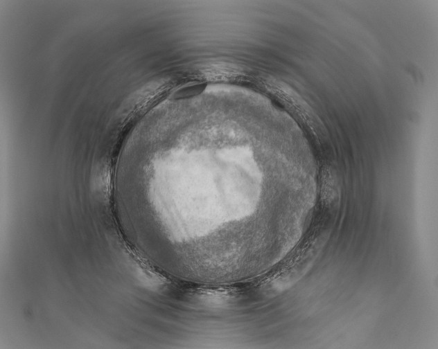 X0000110980405200907101414