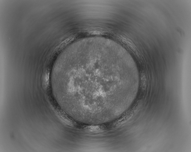 X0000110980406200907101414