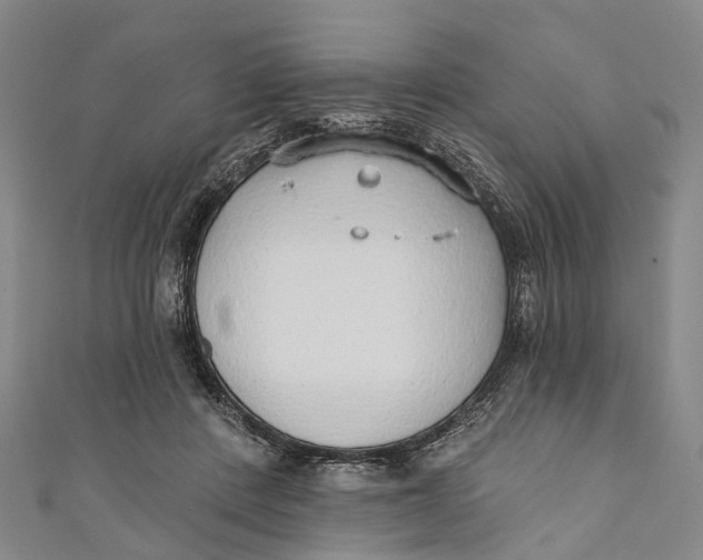 X0000110980408200907101414