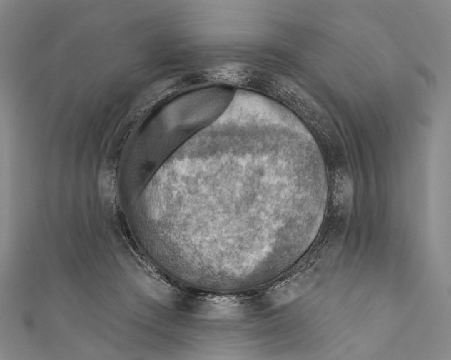 X0000110980409200907101414